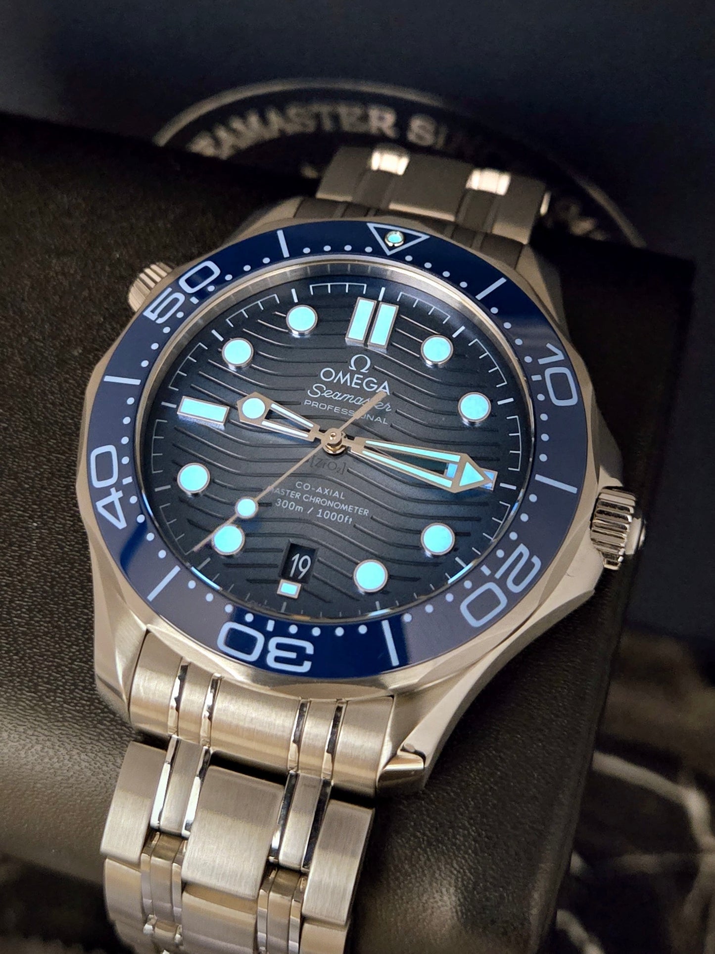 Omega Seamaster Diver 75th Anniversary