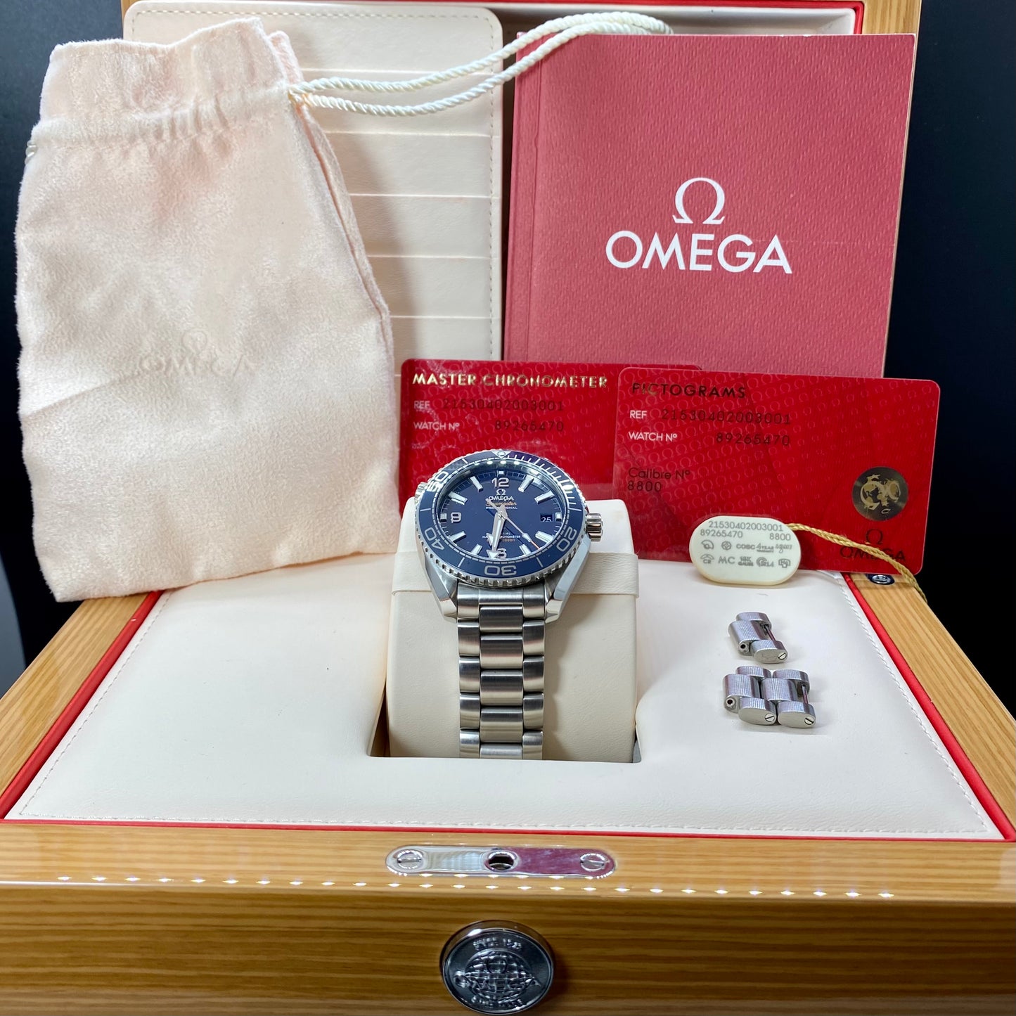 Omega Seamaster Planet Ocean 600M